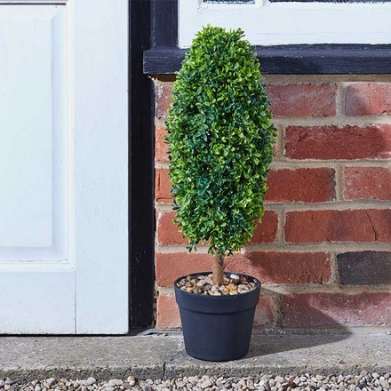 Topiary uovo